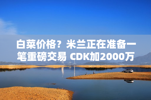 白菜价格？米兰正在准备一笔重磅交易 CDK加2000万欧元换来这位20岁的意大利国脚